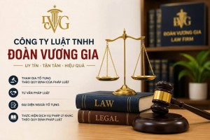 Thêm tổ chức hành nghề luật sư tham gia hỗ trợ pháp lý cho doanh nghiệp