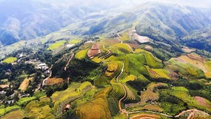 Khe Táu mùa vàng mở lối du lịch sinh thái giữa đại ngàn Phong Dụ Thượng Lào Cai