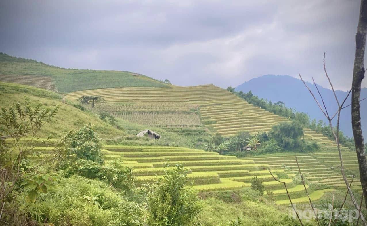Khe Táu mùa vàng mở lối du lịch sinh thái giữa đại ngàn Phong Dụ Thượng Lào Cai
