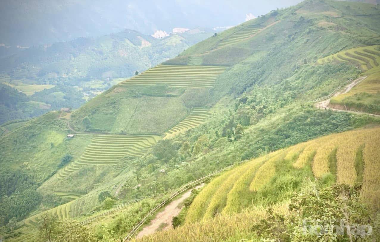 Những thửa ruộng bậc thang ở Khe Táu