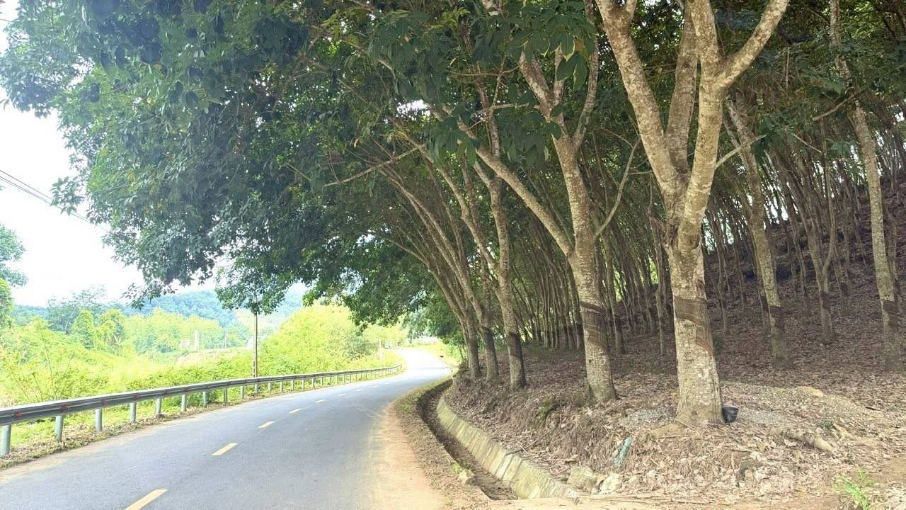Giải đua xe đạp địa hình Bản Lầu lan tỏa sức sống vùng biên nơi cực Bắc Lào Cai
