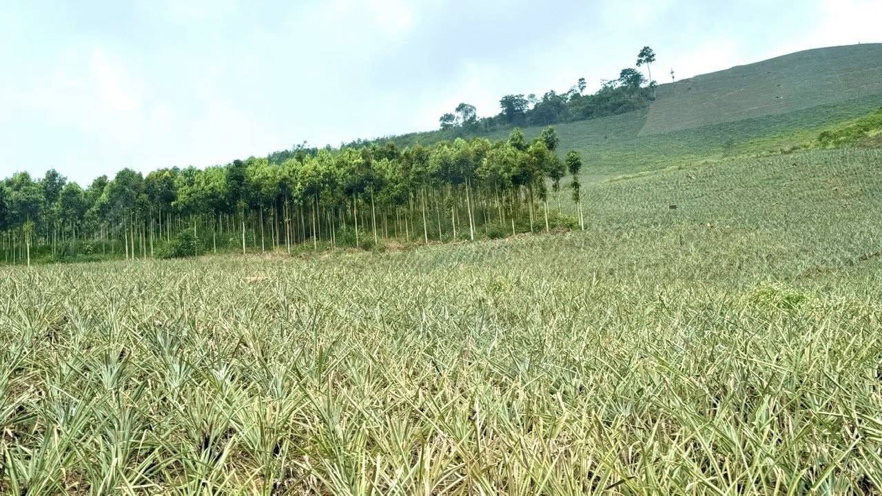 Giải đua xe đạp địa hình Bản Lầu lan tỏa sức sống vùng biên nơi cực Bắc Lào Cai