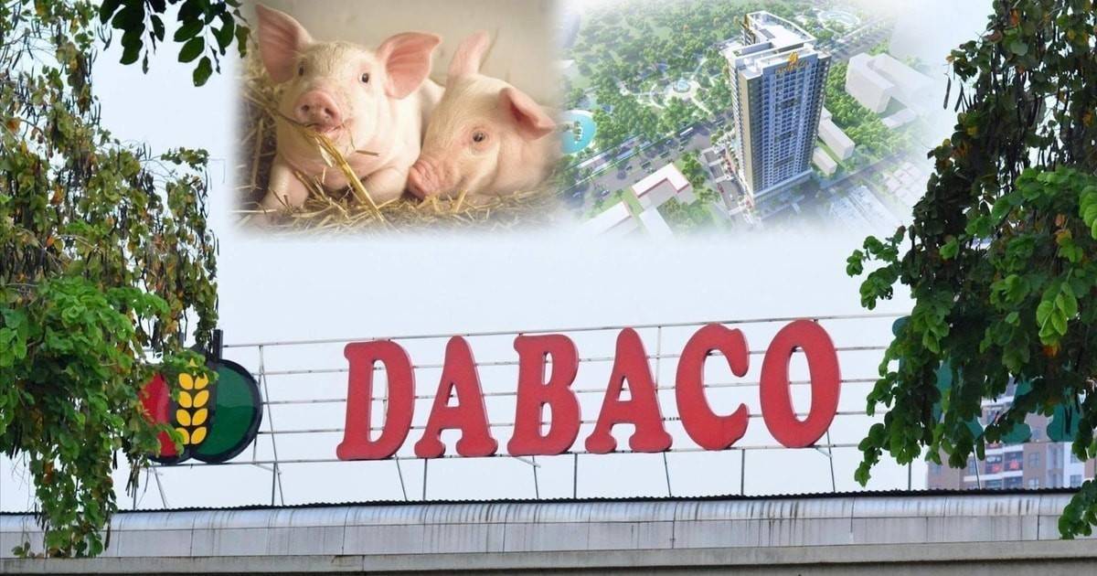 Dabaco sắp chia cổ tức 15%, dự kiến tăng vốn lên 4.310 tỷ