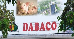 Dabaco sắp chia cổ tức 15%, dự kiến tăng vốn lên 4.310 tỷ