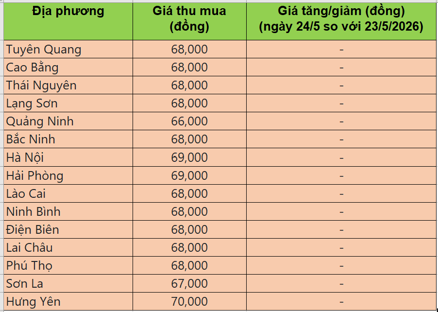 giá heo hơi