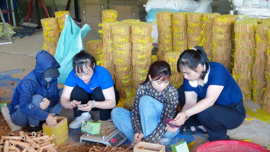 Lào Cai đẩy mạnh truy xuất nguồn gốc nông sản, thúc đẩy chuyển đổi số trong nông nghiệp