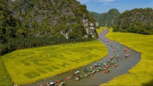 Lễ hội Sắc vàng Tam Cốc thu hút hàng nghìn du khách