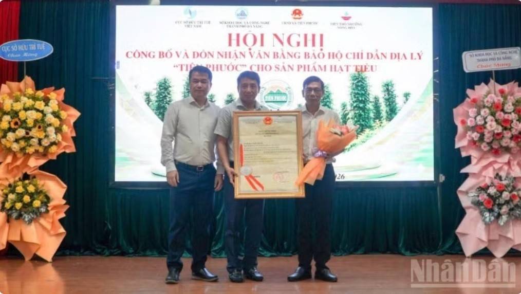 Cục Sở hữu Trí tuệ Việt Nam phối hợp cùng Sở Khoa học và Công nghệ thành phố Đà Nẵng, Ủy ban nhân dân xã Tiên Phước và Viện Thổ nhưỡng Nông hóa tổ chức Hội nghị Công bố và đón nhận văn bằng bảo hộ chỉ dẫn địa lý “Tiên Phước” cho sản phẩm hạt tiêu.