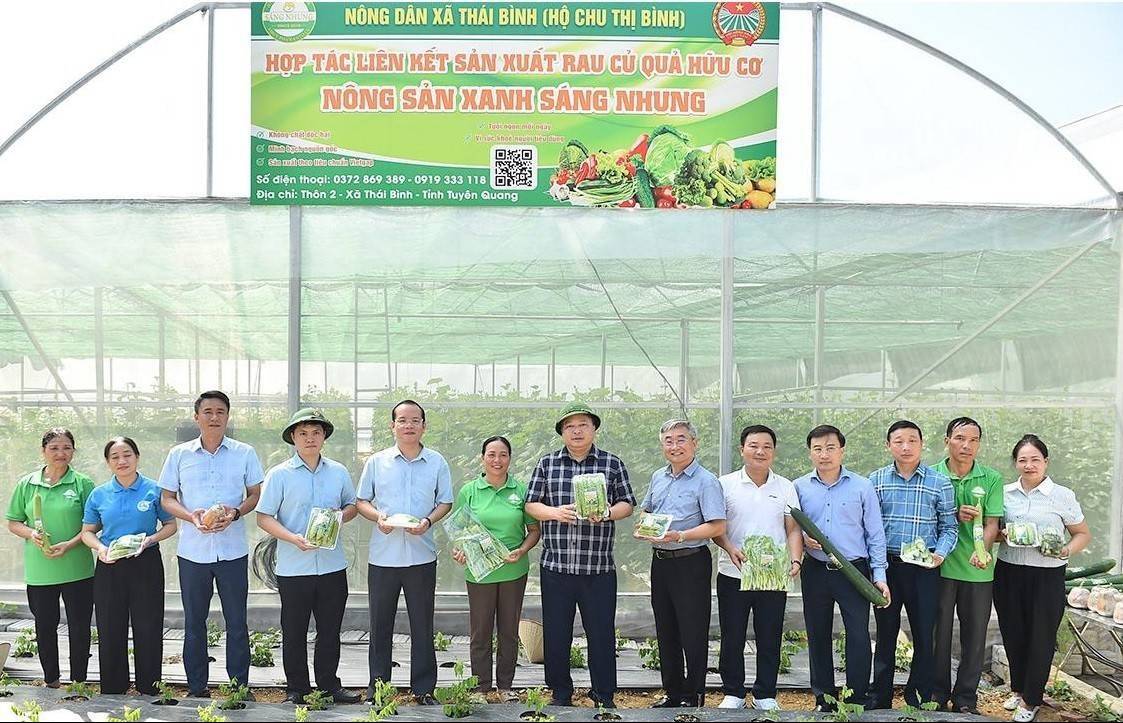 Từ đào cảnh đến nhà màng, nhiều mô hình kinh tế mở hướng làm giàu cho nông dân
