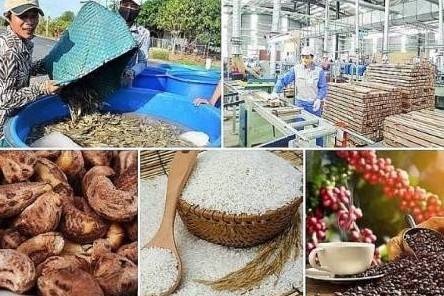 Nông sản Việt trước “hàng rào” mới: Carbon, MRL và truy xuất nguồn gốc siết xuất khẩu