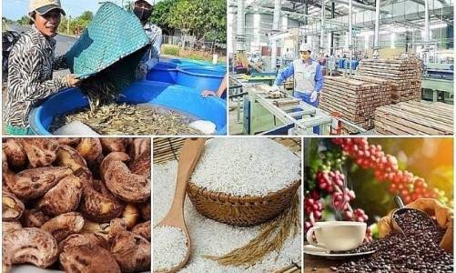 Nông sản Việt trước “hàng rào” mới: Carbon, MRL và truy xuất nguồn gốc siết xuất khẩu
