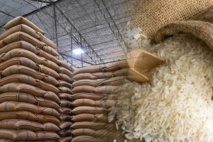 Nông sản Việt trước “hàng rào” mới: Carbon, MRL và truy xuất nguồn gốc siết xuất khẩu
