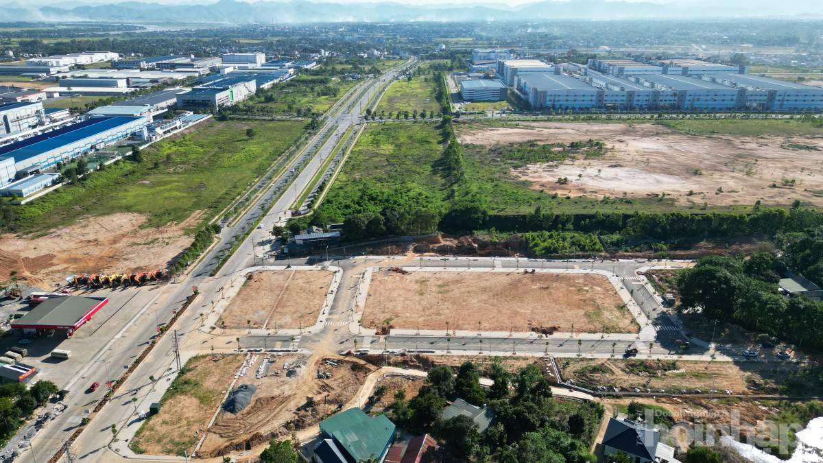 Phú Thọ sắp đấu giá 63 ô đất khu chợ Phú Hà, khởi điểm hơn 209 tỷ đồng