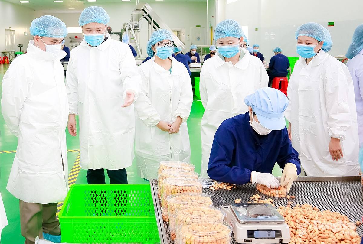 TP. Đồng Nai phát động bình chọn sản phẩm công nghiệp nông thôn tiêu biểu năm 2026