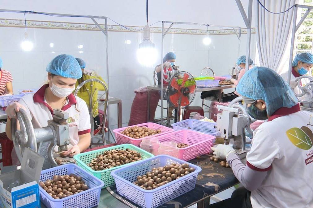 Đắk Lắk cắt giảm thủ tục hành chính liên quan đến hoạt động sản xuất, kinh doanh và đời sống người dân