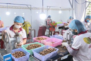 Đắk Lắk cắt giảm thủ tục hành chính liên quan đến hoạt động sản xuất, kinh doanh và đời sống người dân