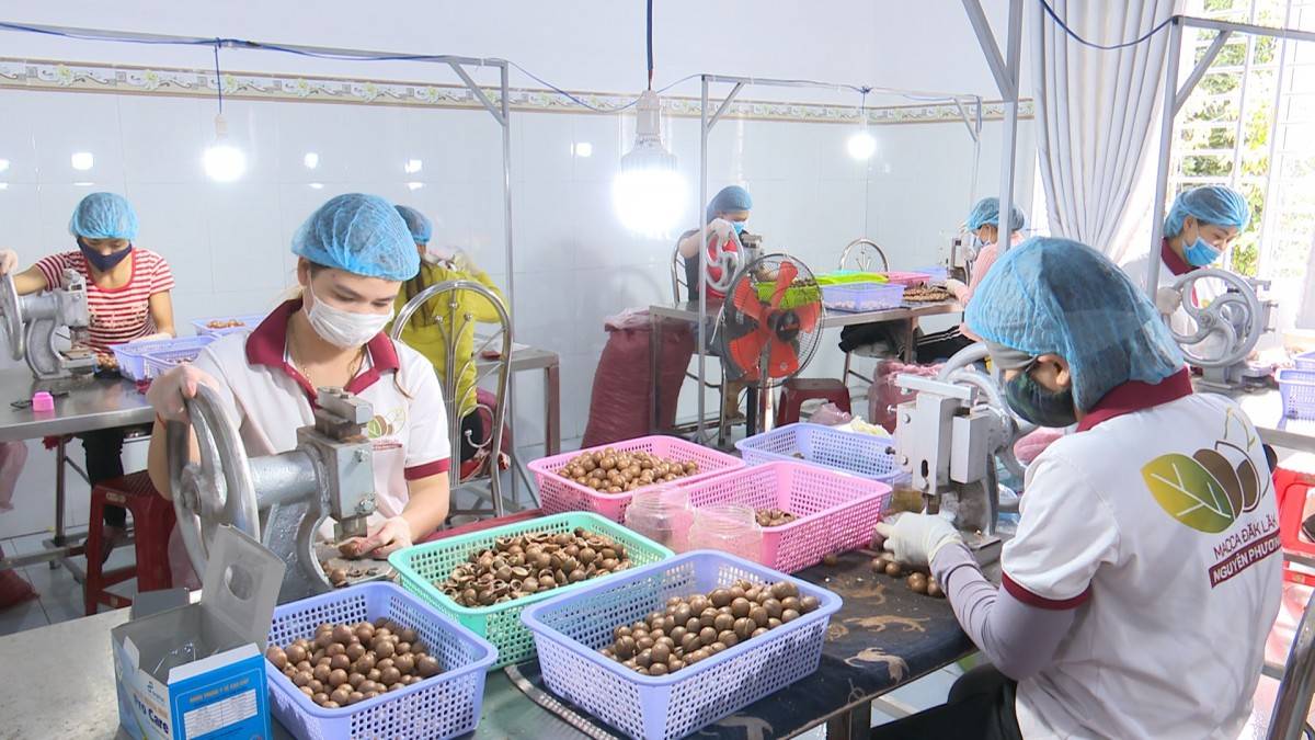 Đắk Lắk cắt giảm thủ tục hành chính liên quan đến hoạt động sản xuất, kinh doanh và đời sống người dân