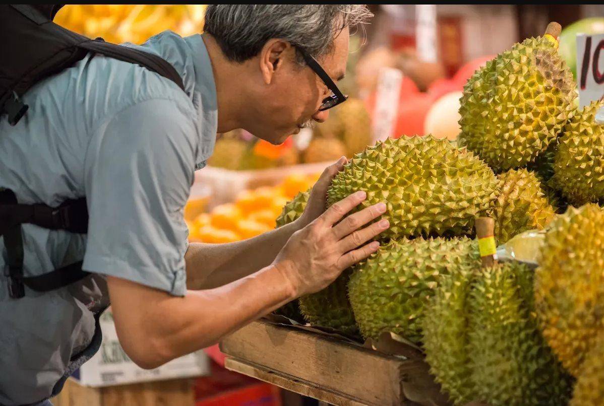 Thương mại Việt Nam - Singapore tăng tốc, rộng cửa cho nông sản xuất khẩu