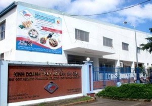 Vì vay vàng, một doanh nghiệp thủy sản nợ phình to từ 103 tỷ lên 2.449 tỷ