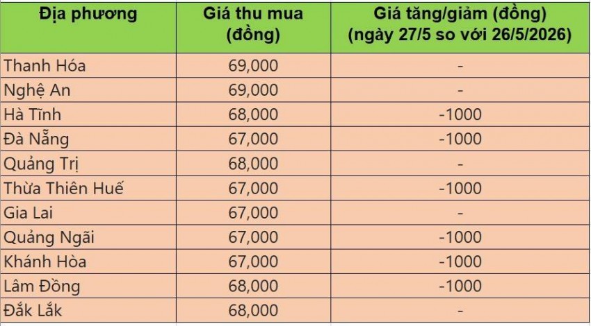 Bảng giá heo hơi tại miền Trung - Tây Nguyên hôm nay 27/5/2026