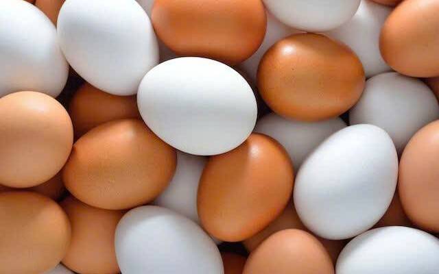 Trứng gia cầm lao dốc: Dư cung kéo dài, giá bán thấp hơn giá thành sản xuất
