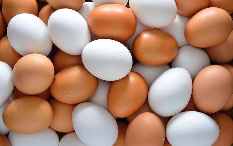 Trứng gia cầm lao dốc: Dư cung kéo dài, giá bán thấp hơn giá thành sản xuất