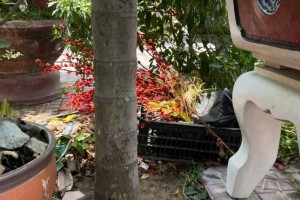 Gia Lai: Nguy cơ ảnh hưởng danh hiệu “Khu dân cư an toàn” vì mâu thuẫn xóm giềng