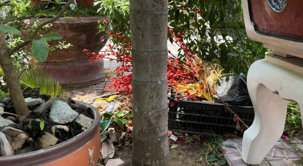 Gia Lai: Mâu thuẫn xóm giềng biến ngõ dân cư thành điểm đổ rác gây ô nhiễm