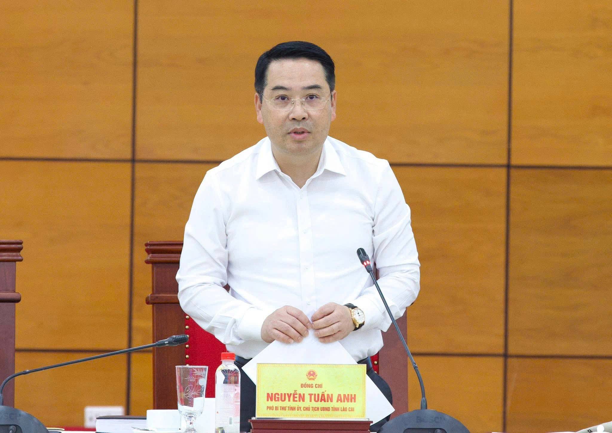 Phát biểu kết luận hội nghị, Chủ tịch UBND tỉnh Nguyễn Tuấn Anh