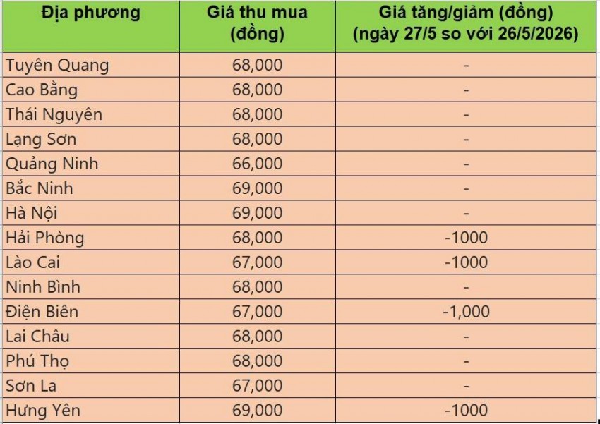 giá heo hơi