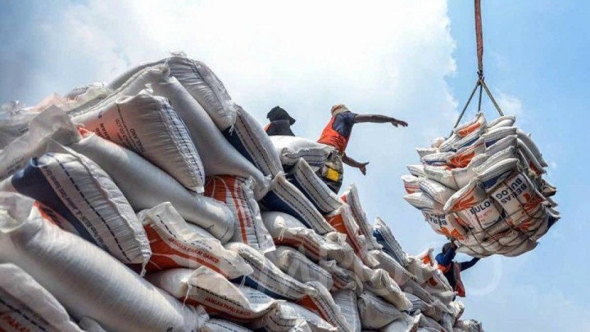 Gạo xuất khẩu của Ấn Độ ùn ứ tại các cảng và rớt giá sâu do nghẽn mạch đường biển sang Trung Đông