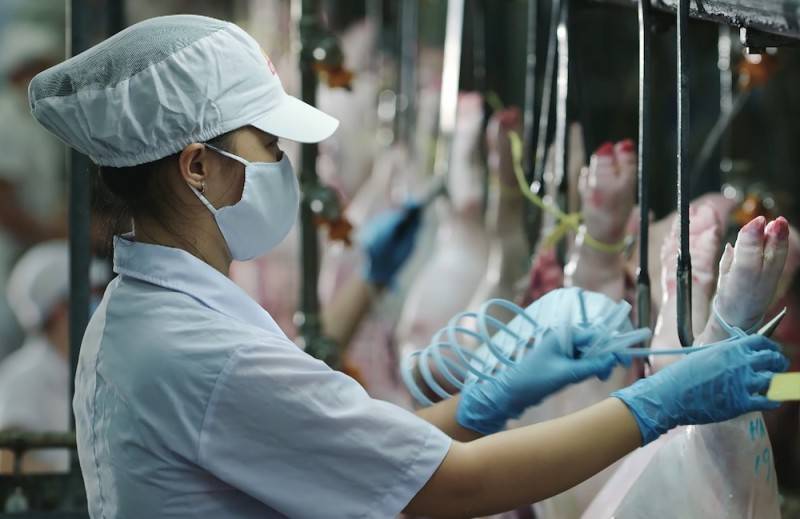 VISSAN giới thiệu “chuỗi thực phẩm an toàn” đến các trường học