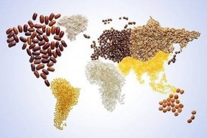 Gọng kìm địa chính trị và "cú sốc hệ thống" đẩy 2,6 tỷ người xa chế độ ăn lành mạnh