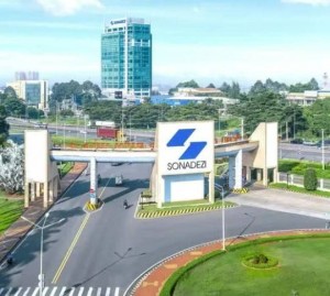 Đồng Nai: Sonadezi công bố thông tin bất thường về Trưởng Ban Kiểm soát