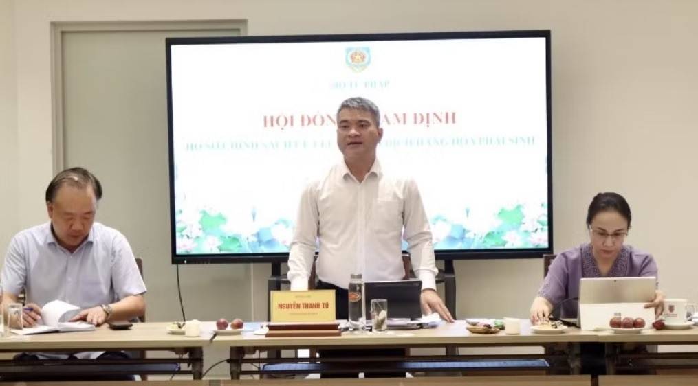 Thứ trưởng Tư pháp Nguyễn Thanh Tú phát biểu tại cuộc họp.