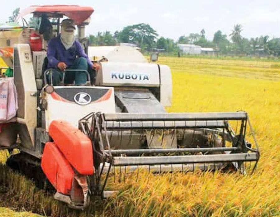 Nông dân Nghệ An thu hoạch lúa