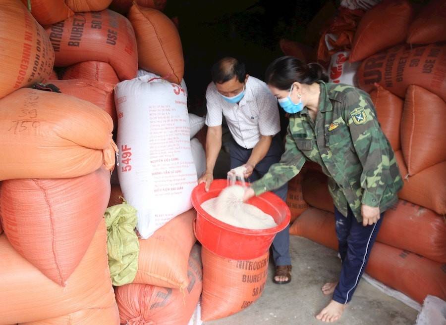 Doanh nghiệp liên kết với nông dân Nghệ An thu mua lúa, bao tiêu sản phẩm.