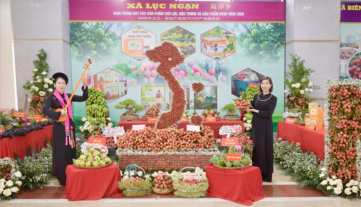 Bắc Ninh quảng bá vải thiều, sản phẩm OCOP tại hội nghị xúc tiến tiêu thụ năm 2026