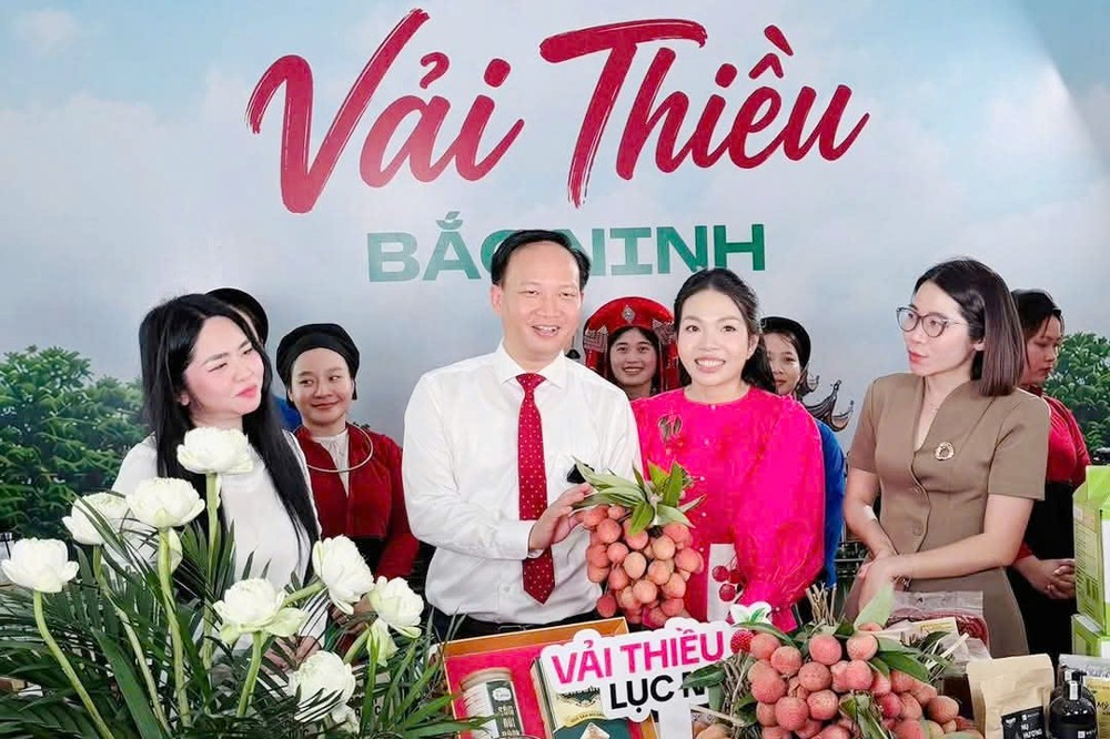 Bắc Ninh quảng bá vải thiều, sản phẩm OCOP tại hội nghị xúc tiến tiêu thụ năm 2026