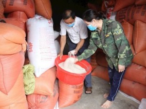 Nghệ An triển khai các giải pháp điều hành sản xuất, kinh doanh, tiêu thụ gạo