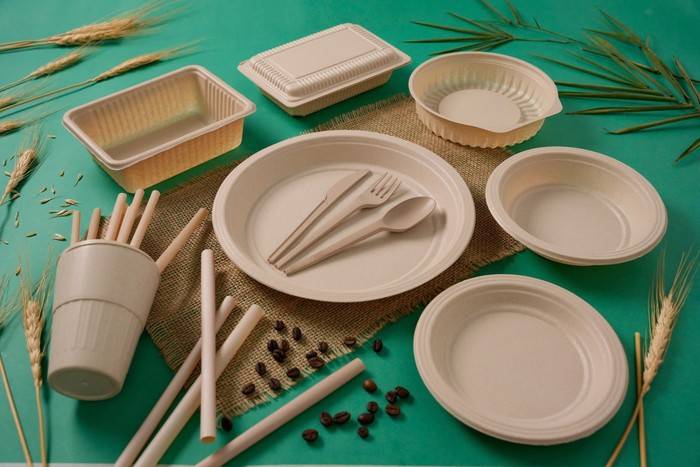 Một số sản phẩm nhựa sinh học của BUYO Bioplastics. Ảnh: NVCC.