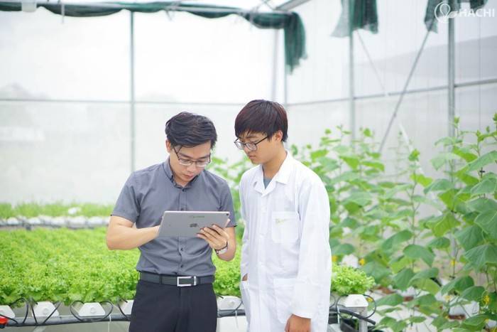 Anh Đặng Xuân Trường (áo xám) - CEO Công ty Cổ phần Công nghệ cao Hachi Việt Nam. Ảnh: NVCC.