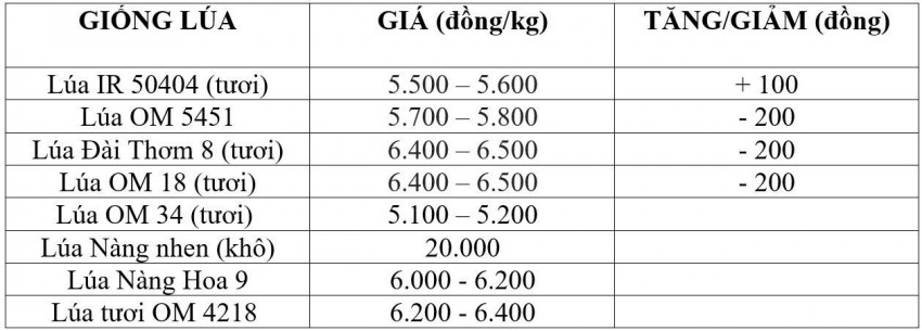 giá lúa gạo