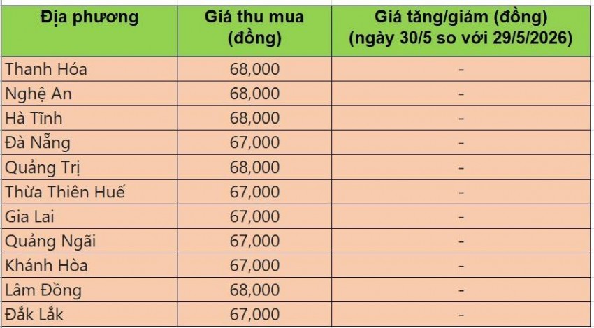 giá heo hơi