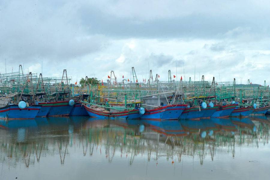 Tàu thuyền neo đậu tại Cảng Lạch Quèn, tỉnh Nghệ An