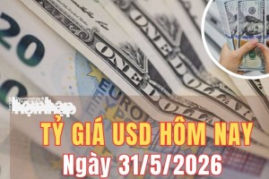 Tỷ giá USD hôm nay 31/5/2026: Đồng USD chốt tuần chịu áp lực giảm