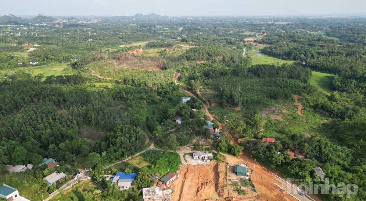 Phú Thọ: Doanh nghiệp nói vướng mặt bằng, địa phương nêu chậm bố trí vốn tại CCN Phú Hộ