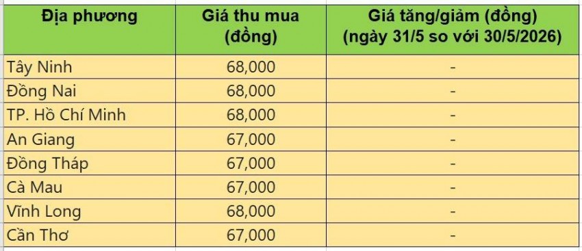 Bảng giá heo hơi tại miền Nam hôm nay 31/5/2026