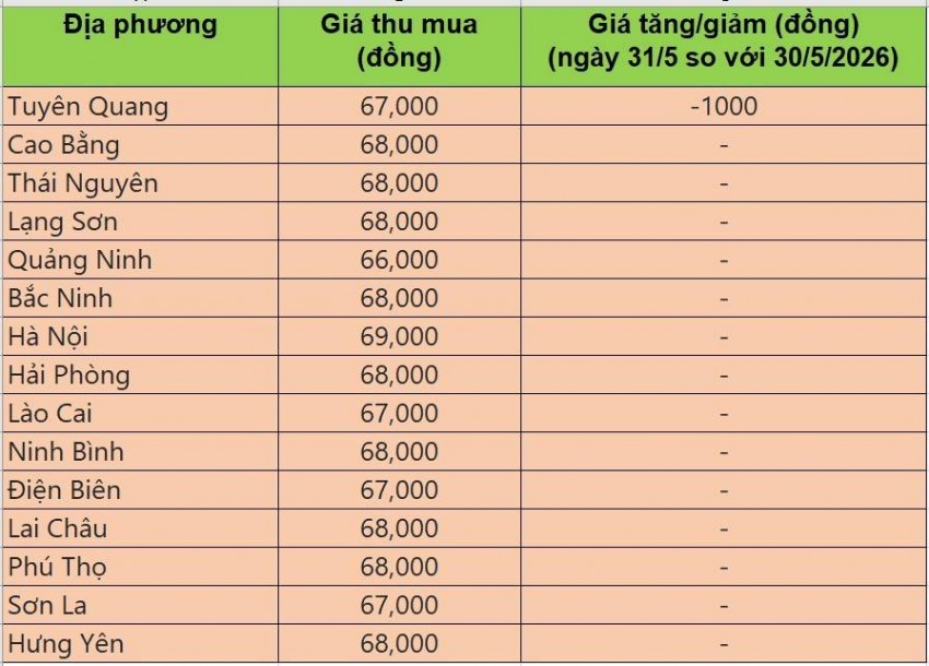 Bảng giá heo hơi tại miền Bắc hôm nay 31/5/2026