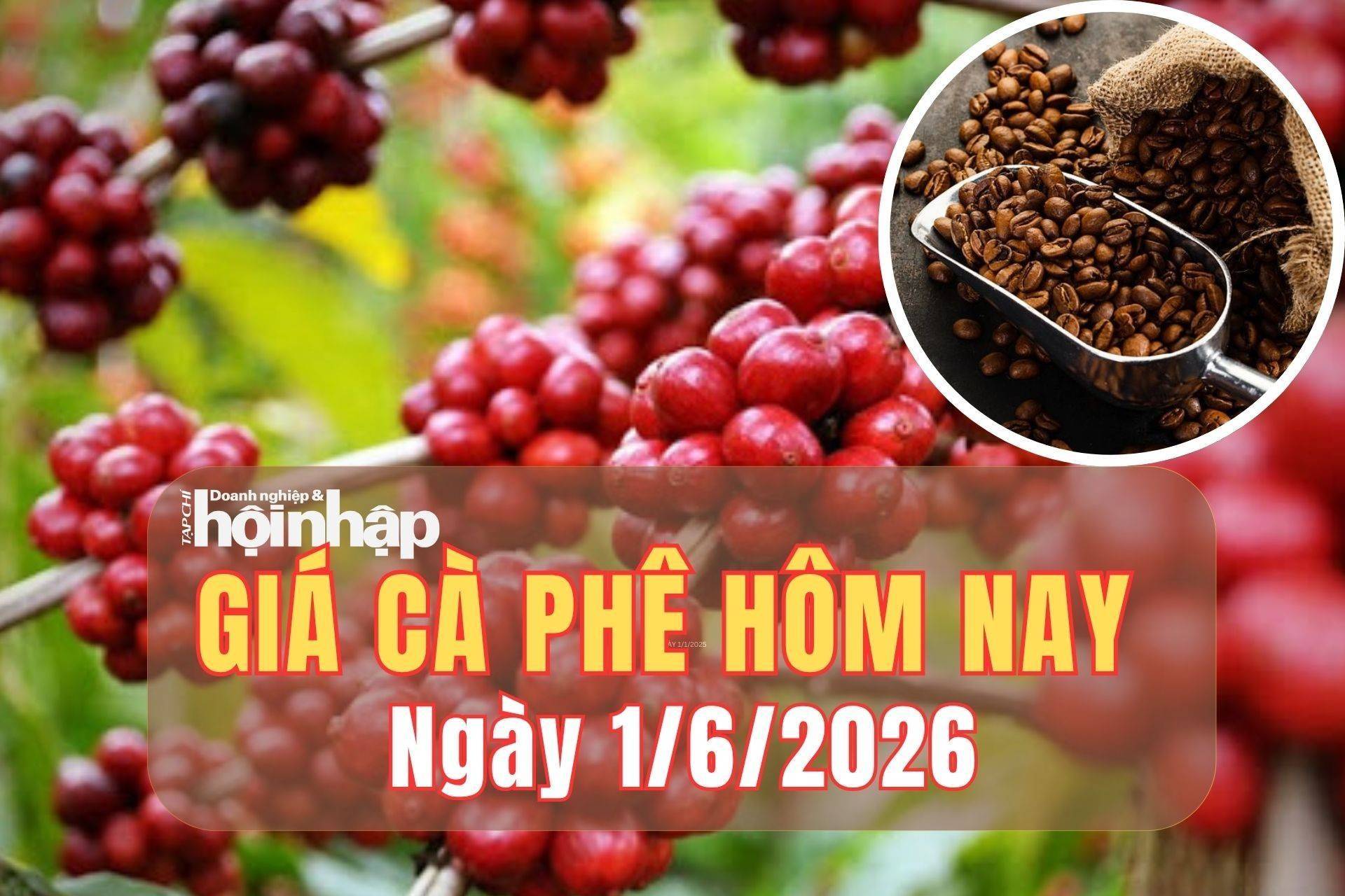 Giá cà phê hôm nay 1/6/2026: Kết thúc tuần qua, giá cà phê đồng loạt giảm